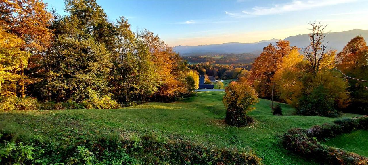 Alpinejka House Villa Tržič Kültér fotó