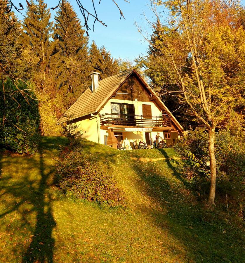 Alpinejka House Villa Tržič Kültér fotó